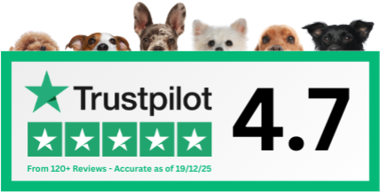 Trust Pilot